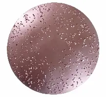 HMT-brusilna plošča iz Widia trde kovine 230mm, fina, Št. 605 za ROKAMAT TITANO/HERON, Z0605