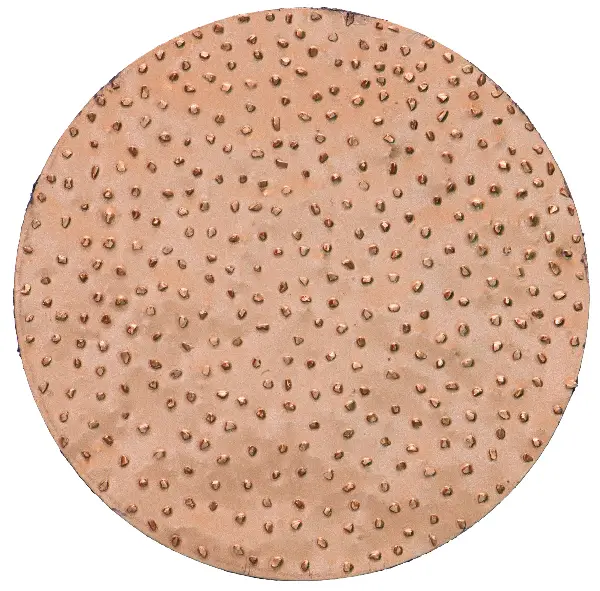 HMT-Schleifscheiben d= 200mm mittel für ROKAMAT CHAMELEON/CHAMELEON CX per Paar, Z23205