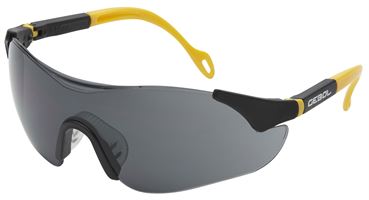 Schutzbrille SAFETY COMFORT getönt, EN166+172, Gr. universal, VPE6/120, Z730002