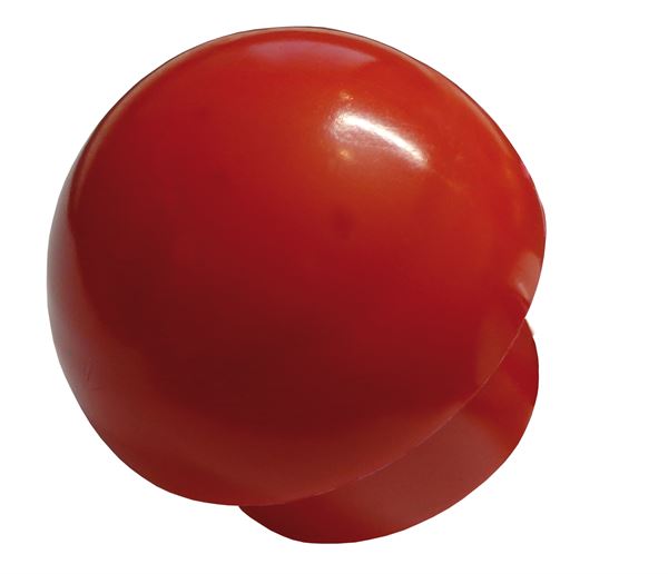 Zaščitna kapa za vert. armaturo p= 6-18mm 250kos/vreča 50vreč/paleta, ZSKA618